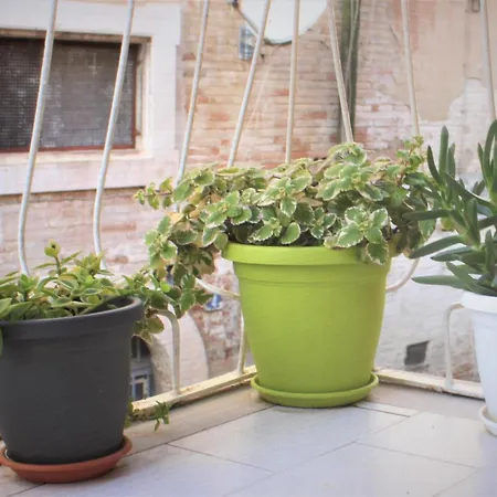 B E B La Fontana Del Carmine Lejlighed