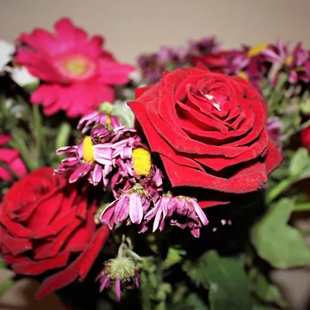 Lejlighed B E B La Fontana Del Carmine Lucera